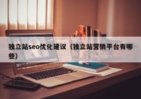 独立站seo优化建议（独立站营销平台有哪些）